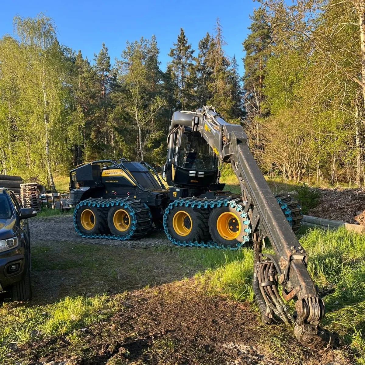 Skördare i kvällssol vid en skogskant med björk och gran
