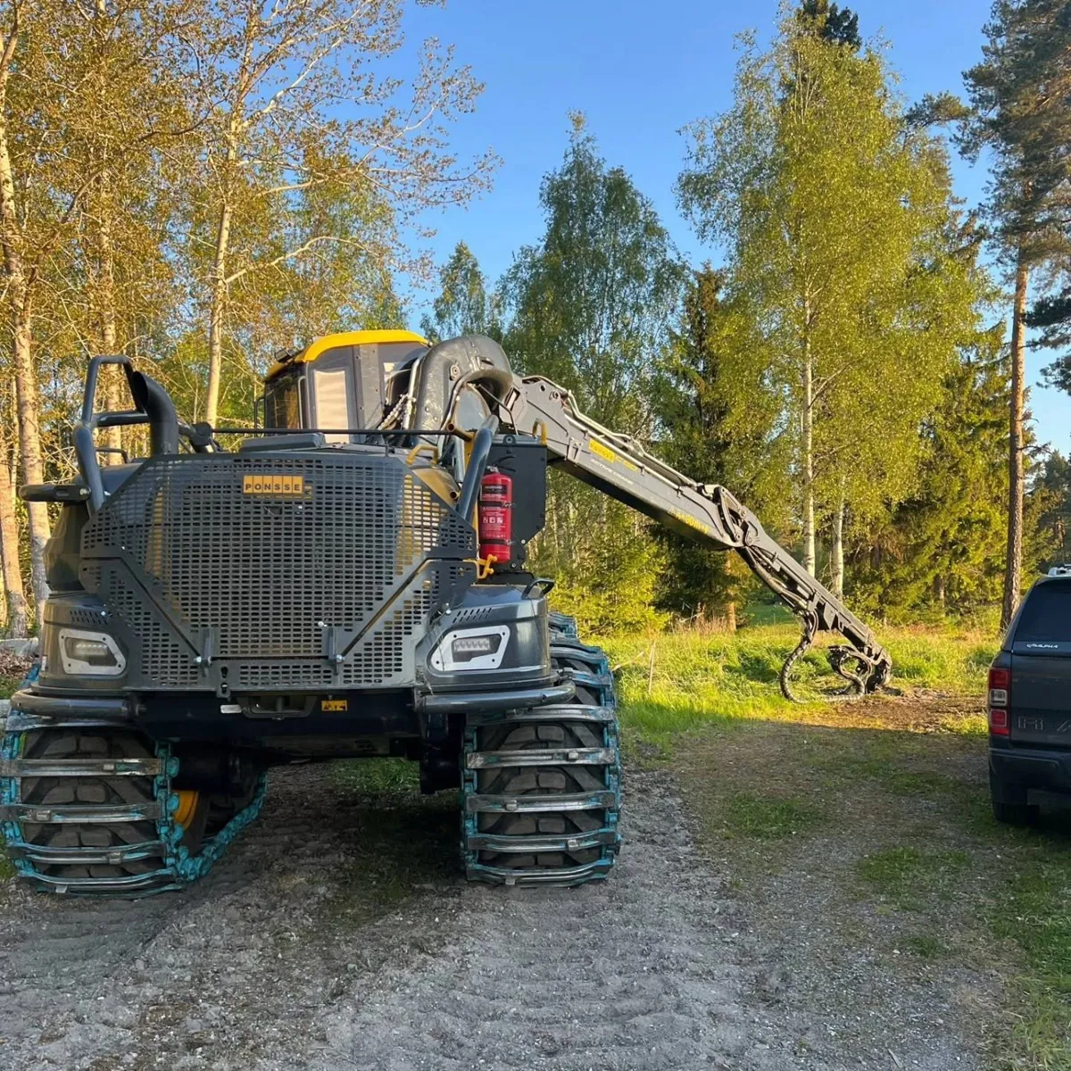 Skördare framifrån med kranen ute, björkar i kvällsljus