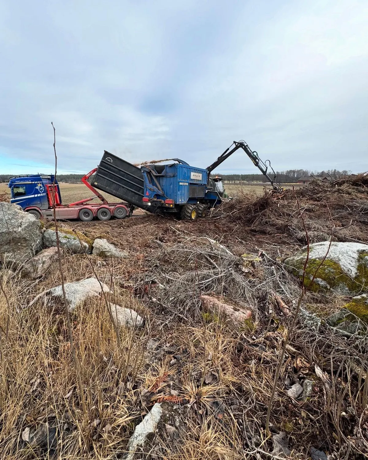 Ris från en åkerkant flisas på plats bredvid en Sonö-lastbil
